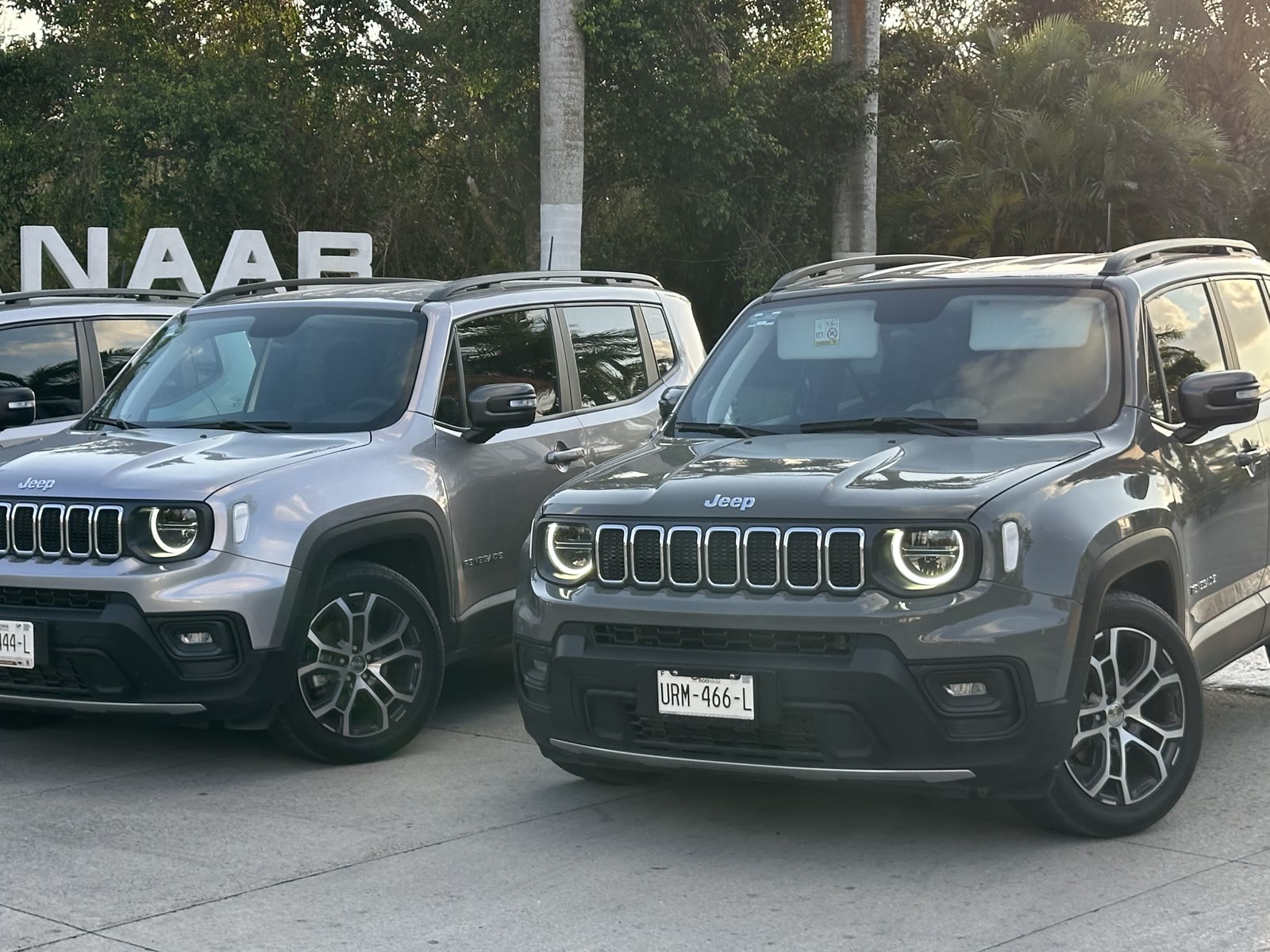 Jeep Renegades ready for the day